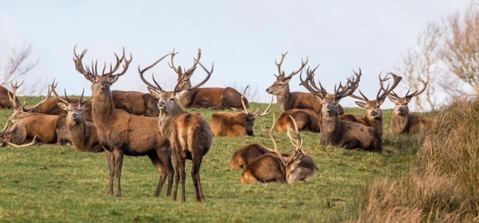 Exmoor Retreat On Two Moors Way Withypool Екстер'єр фото