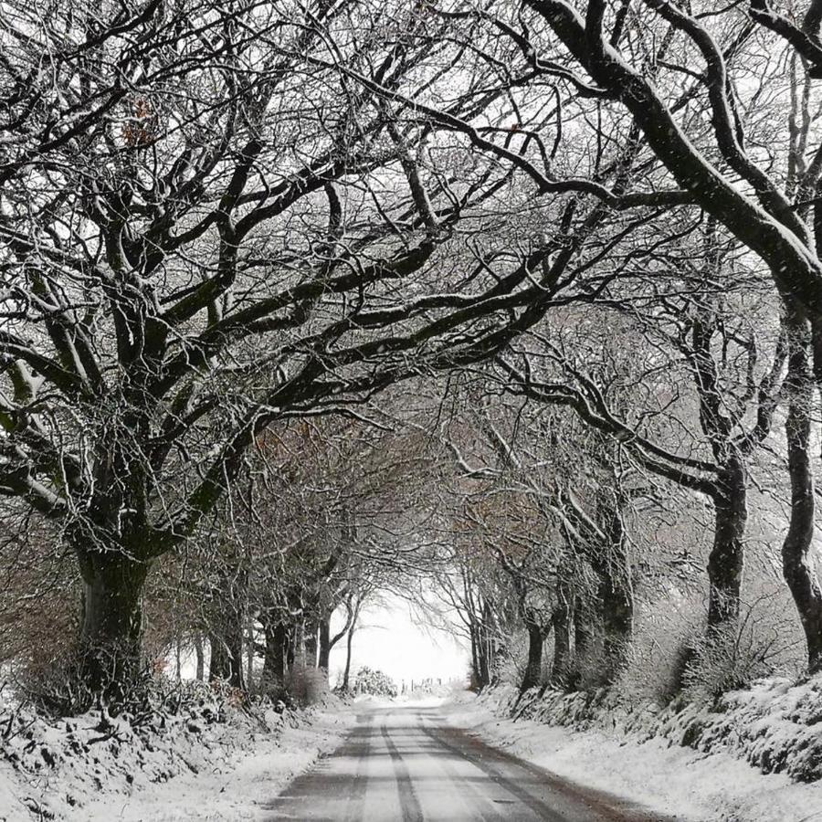 Exmoor Retreat On Two Moors Way Withypool Екстер'єр фото