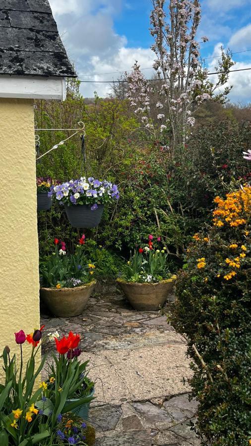 Exmoor Retreat On Two Moors Way Withypool Екстер'єр фото