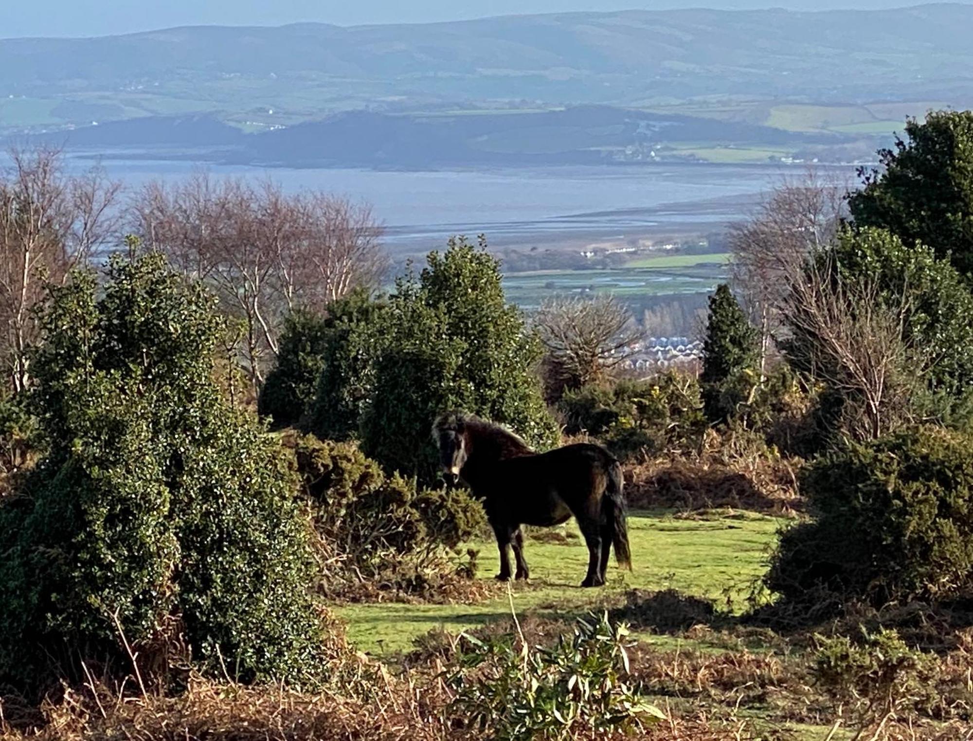 Exmoor Retreat On Two Moors Way Withypool Екстер'єр фото