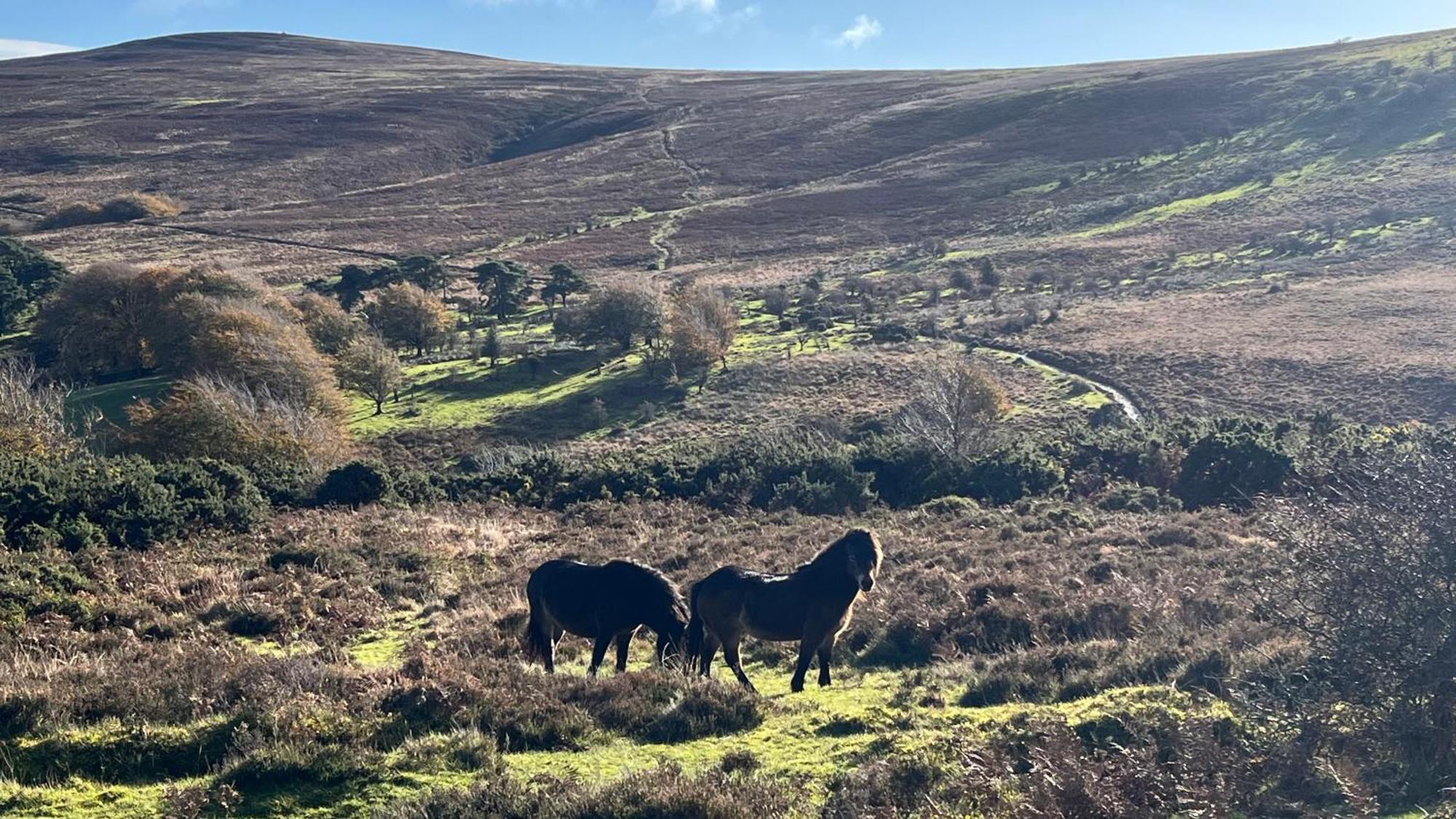 Exmoor Retreat On Two Moors Way Withypool Екстер'єр фото
